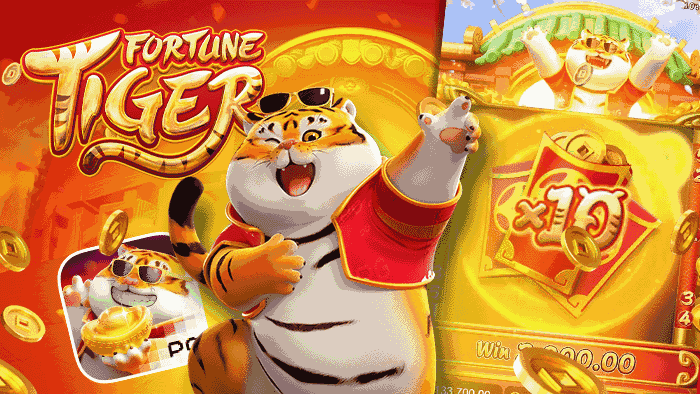 estrategia do jogo fortune tiger